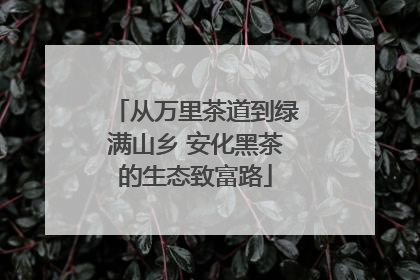 从万里茶道到绿满山乡 安化黑茶的生态致富路