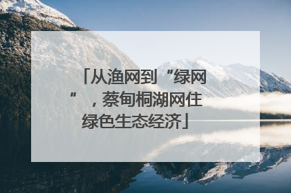 从渔网到“绿网”，蔡甸桐湖网住绿色生态经济