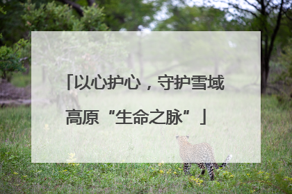 以心护心，守护雪域高原“生命之脉”