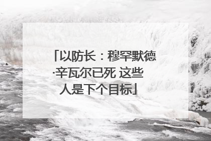 以防长：穆罕默德·辛瓦尔已死 这些人是下个目标