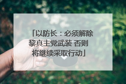 以防长：必须解除黎真主党武装 否则将继续采取行动