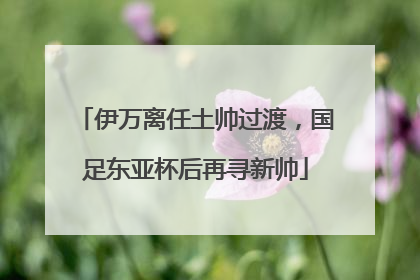 伊万离任土帅过渡，国足东亚杯后再寻新帅