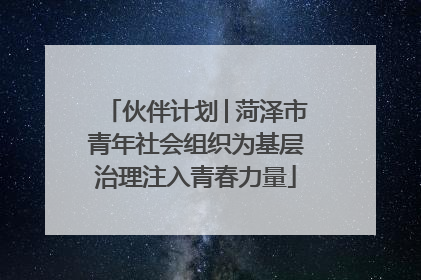 伙伴计划│菏泽市青年社会组织为基层治理注入青春力量