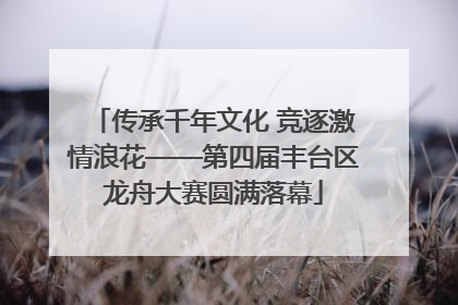 传承千年文化 竞逐激情浪花——第四届丰台区龙舟大赛圆满落幕