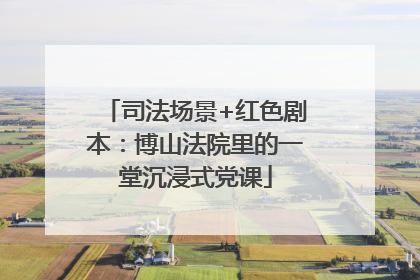 司法场景+红色剧本：博山法院里的一堂沉浸式党课