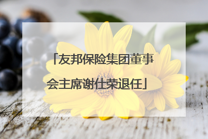 友邦保险集团董事会主席谢仕荣退任