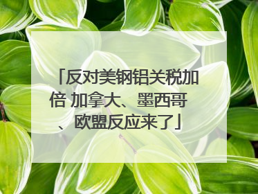 反对美钢铝关税加倍 加拿大、墨西哥、欧盟反应来了