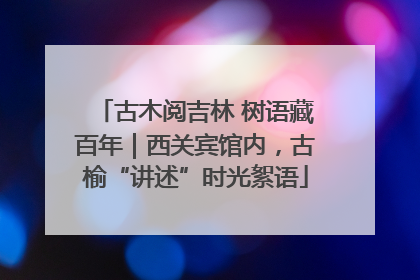 古木阅吉林 树语藏百年｜西关宾馆内，古榆“讲述”时光絮语