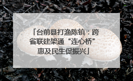 台前县打渔陈镇：跨省联建架通“连心桥” 惠及民生促振兴