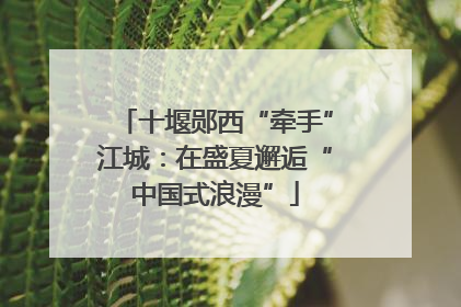 十堰郧西“牵手”江城：在盛夏邂逅“中国式浪漫”