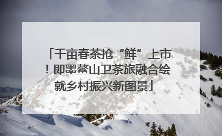 千亩春茶抢“鲜”上市！即墨鳌山卫茶旅融合绘就乡村振兴新图景