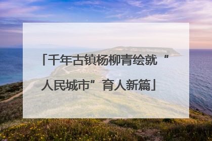 千年古镇杨柳青绘就“人民城市”育人新篇