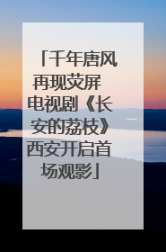 千年唐风再现荧屏 电视剧《长安的荔枝》西安开启首场观影