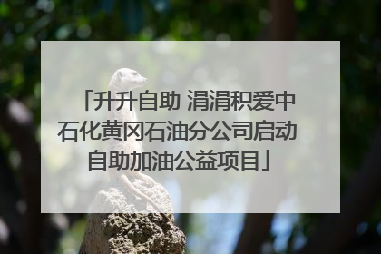 升升自助 涓涓积爱中石化黄冈石油分公司启动自助加油公益项目