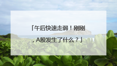 午后快速走弱！刚刚，A股发生了什么？