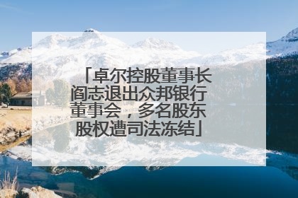 卓尔控股董事长阎志退出众邦银行董事会，多名股东股权遭司法冻结