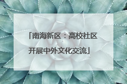南海新区：高校社区开展中外文化交流