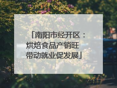 南阳市经开区：烘焙食品产销旺 带动就业促发展