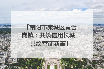 南阳市宛城区黄台岗镇：共筑信用长城 共绘营商新篇