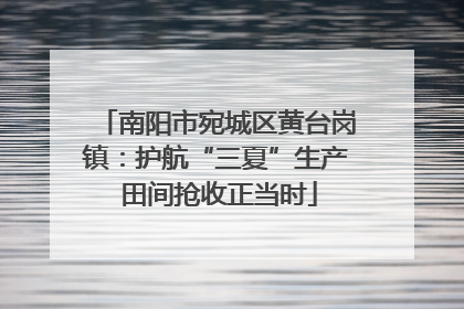 南阳市宛城区黄台岗镇：护航“三夏”生产 田间抢收正当时
