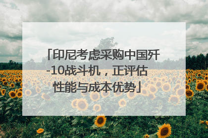 印尼考虑采购中国歼-10战斗机，正评估性能与成本优势