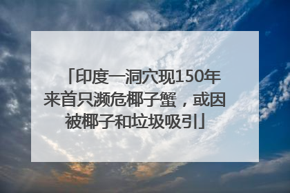 印度一洞穴现150年来首只濒危椰子蟹，或因被椰子和垃圾吸引