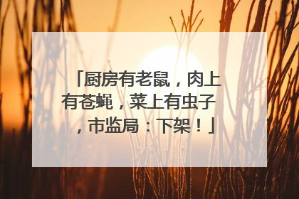 厨房有老鼠，肉上有苍蝇，菜上有虫子，市监局：下架！