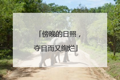 傍晚的日照，夺目而又绚烂