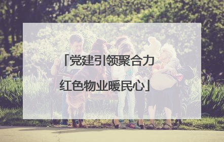 党建引领聚合力 红色物业暖民心