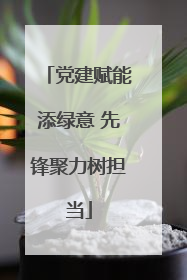 党建赋能添绿意 先锋聚力树担当