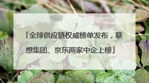 全球供应链权威榜单发布，联想集团、京东两家中企上榜