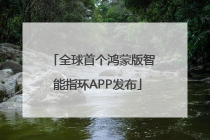 全球首个鸿蒙版智能指环APP发布