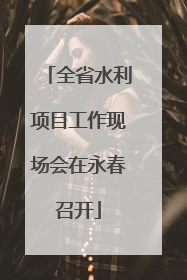 全省水利项目工作现场会在永春召开
