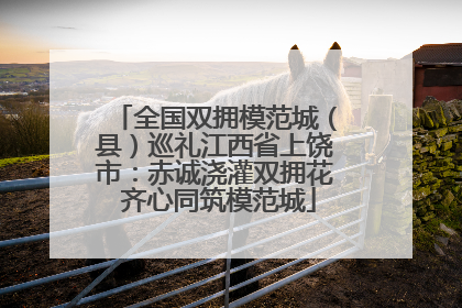 全国双拥模范城（县）巡礼江西省上饶市：赤诚浇灌双拥花 齐心同筑模范城