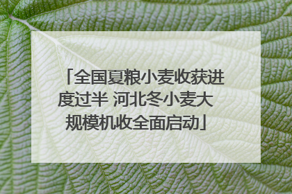 全国夏粮小麦收获进度过半 河北冬小麦大规模机收全面启动