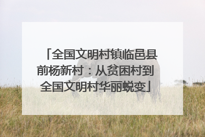 全国文明村镇临邑县前杨新村：从贫困村到全国文明村华丽蜕变