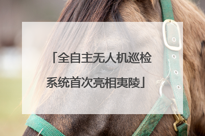 全自主无人机巡检系统首次亮相夷陵