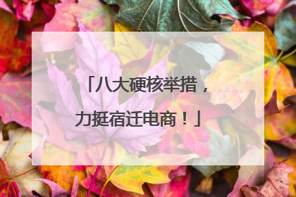 八大硬核举措，力挺宿迁电商！