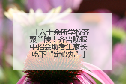 六十余所学校齐聚兰陵！齐鲁晚报中招会助考生家长吃下“定心丸”