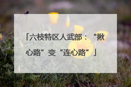 六枝特区人武部：“揪心路”变“连心路”