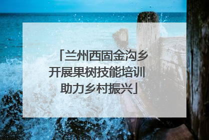 兰州西固金沟乡开展果树技能培训 助力乡村振兴
