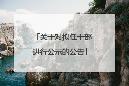 关于对拟任干部进行公示的公告