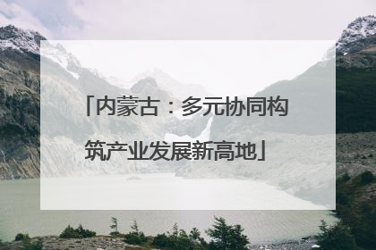 内蒙古：多元协同构筑产业发展新高地