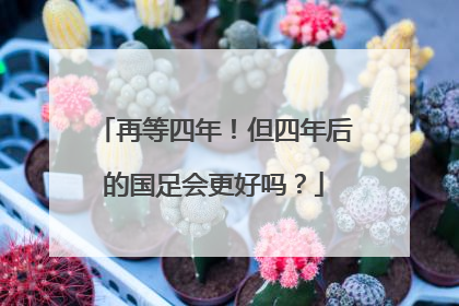 再等四年！但四年后的国足会更好吗？