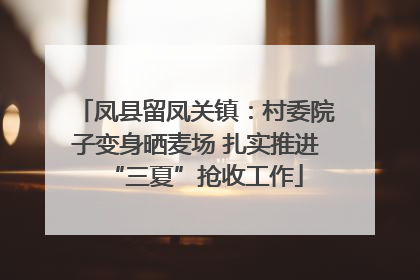 凤县留凤关镇：村委院子变身晒麦场 扎实推进“三夏”抢收工作