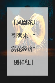 凤凰花开引客来 “赏花经济”别样红