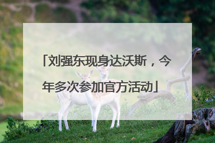 刘强东现身达沃斯，今年多次参加官方活动