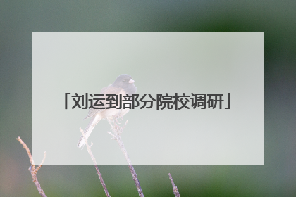刘运到部分院校调研
