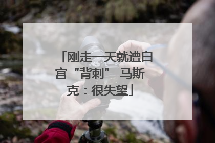 刚走一天就遭白宫“背刺” 马斯克：很失望