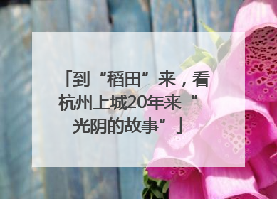 到“稻田”来，看杭州上城20年来“光阴的故事”